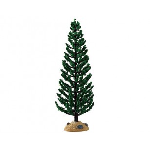 GREEN JUNIPER TREE