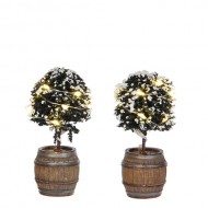 Lighted Buxus Trees in Barrels, Set of 2, Adapter Ready, 8.5cm Tall