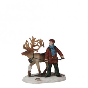 Reindeer with Bandage