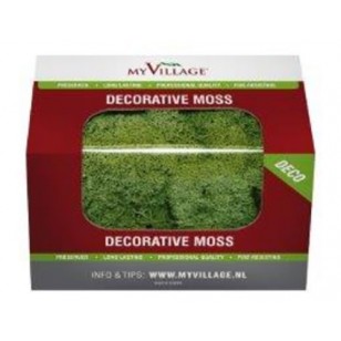 REINDEER MOSS GREEN 50gm REINDEER MOSS GREEN 50gm