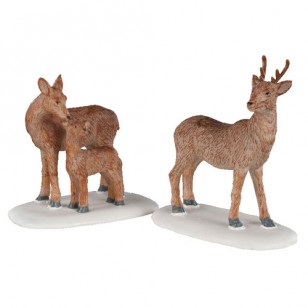 DEER FAMILY, SET OF 2