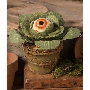 Eerie Eyeball Lettuce, 6.25" Tall, 50% Off