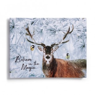 LED Print, Reindeer, 40 x 30cm