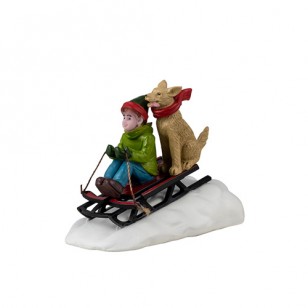 DOGGONE DOWNHILL SLEDDING DOGGONE DOWNHILL SLEDDING