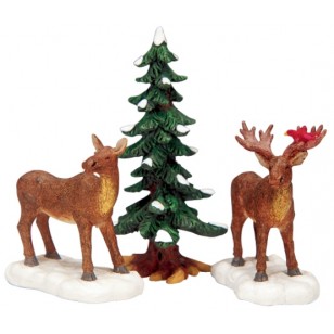 Mr and Mrs Moose Mr and Mrs Moose